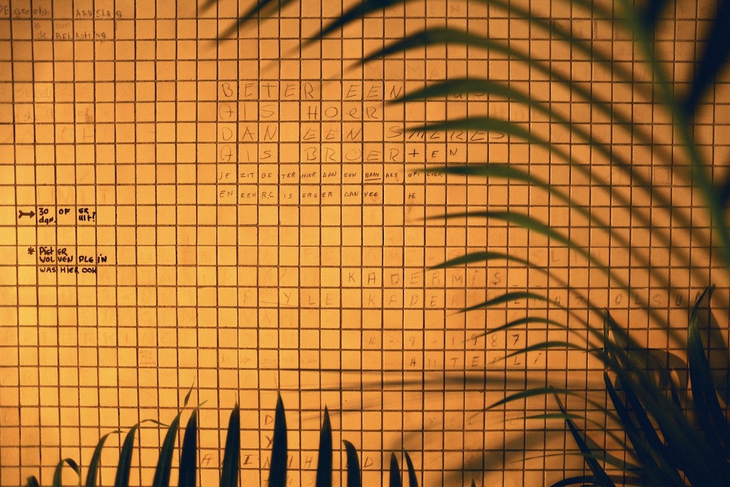 Photo by Laura Andalou